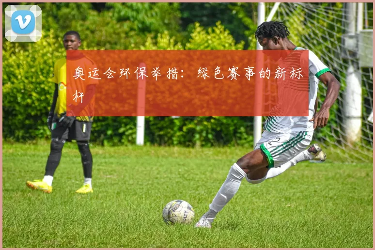 奥运会环保举措:绿色赛事的新标杆
