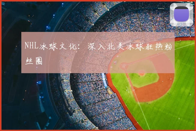 NHL冰球文化:深入北美冰球狂热粉丝圈
