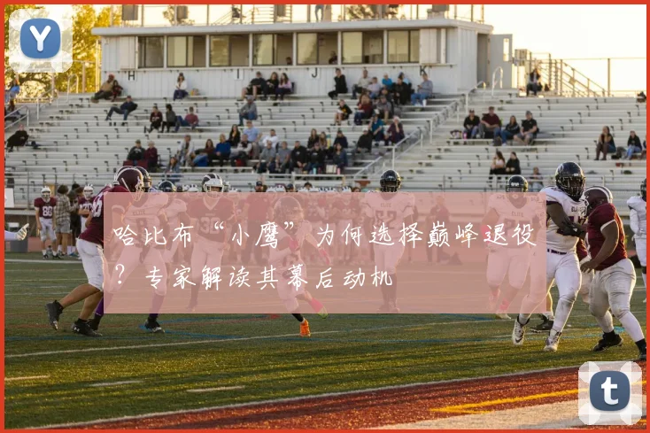 哈比布“小鹰”为何选择巅峰退役？专家解读其幕后动机