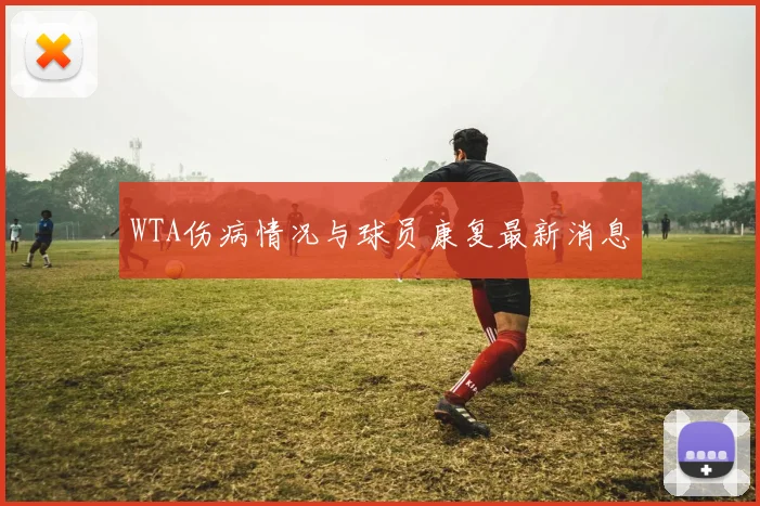 WTA伤病情况与球员康复最新消息