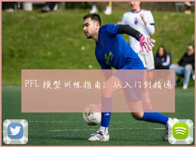 PFL 模型训练指南：从入门到精通
