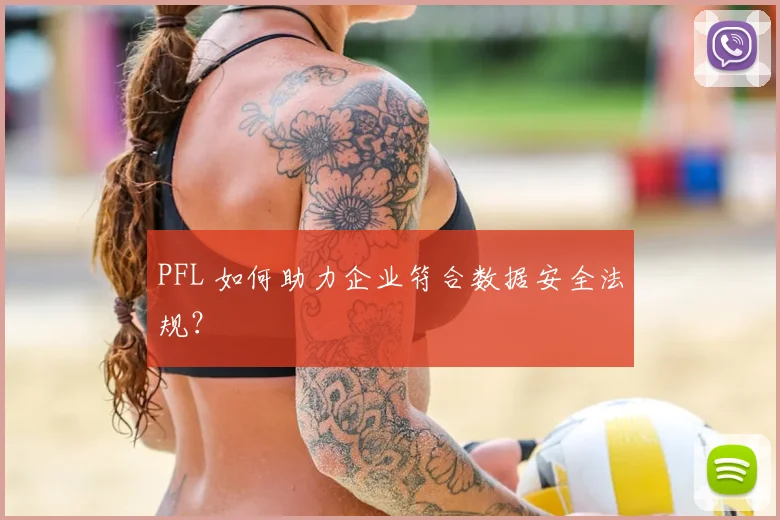 PFL 如何助力企业符合数据安全法规？