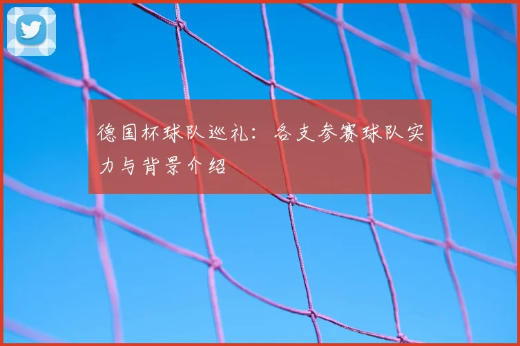 德国杯球队巡礼:各支参赛球队实力与背景介绍