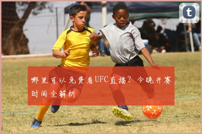 哪里可以免费看UFC直播?今晚开赛时间全解析
