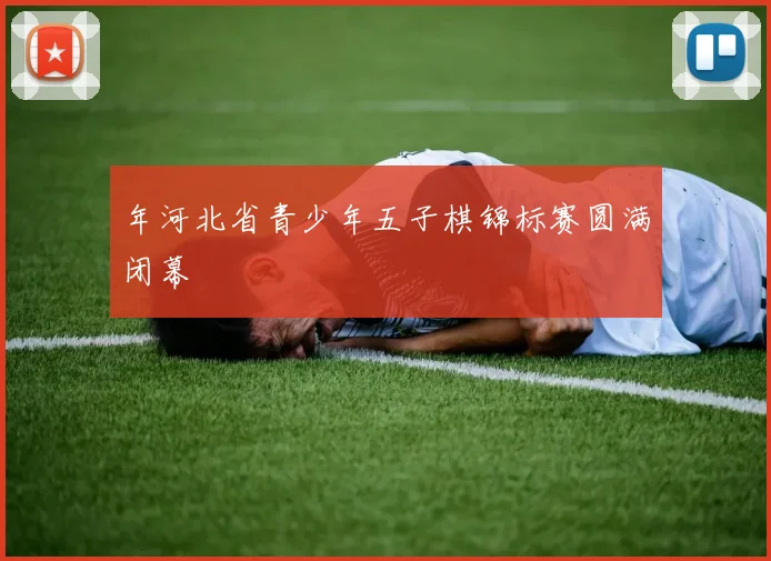 年河北省青少年五子棋锦标赛圆满闭幕