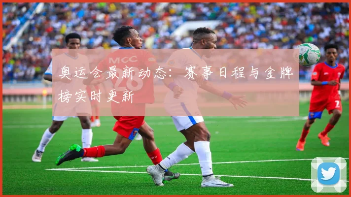 奥运会最新动态：赛事日程与金牌榜实时更新