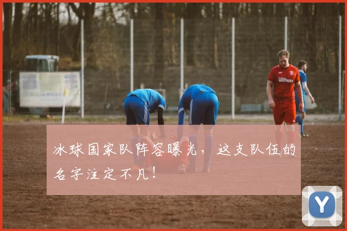 冰球国家队阵容曝光,这支队伍的名字注定不凡!