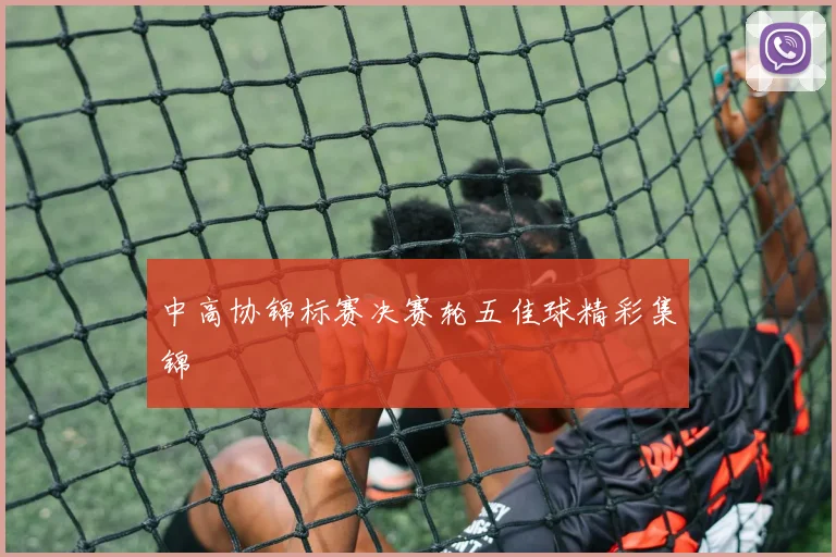 中高协锦标赛决赛轮五佳球精彩集锦