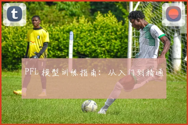 PFL 模型训练指南:从入门到精通