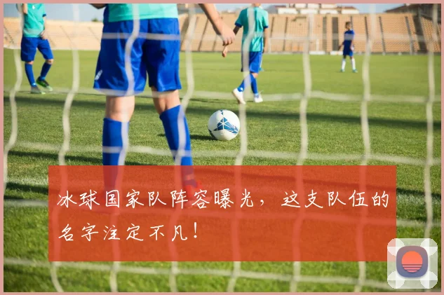冰球国家队阵容曝光,这支队伍的名字注定不凡!